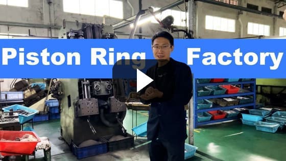 Piston Ring Factory Video